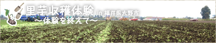 里芋収穫体験 in 福井県大野市～体験を終えて～