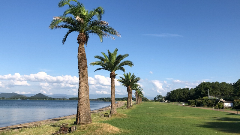 マイアミ浜