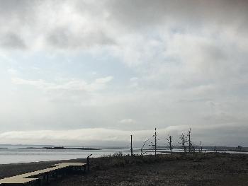 日本最大の砂嘴(さし)である野付半島のトドワラ。立枯れたトドマツがつくる景観は「この世の果て」とも言われ、独特の雰囲気があります。