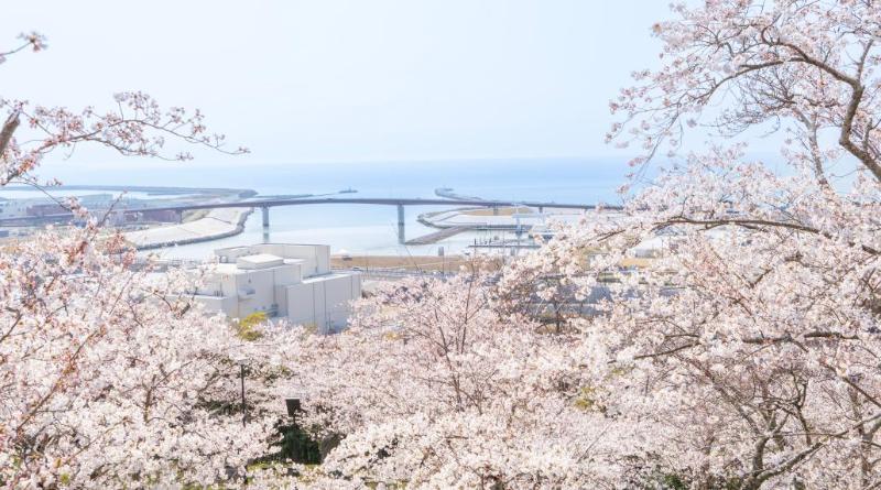 日和山公園