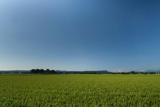 新篠津村の田園風景