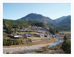 美しい育生町の風景