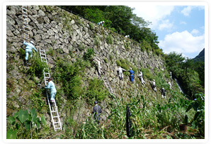 「日本一の高さの石垣」の清掃時の風景
