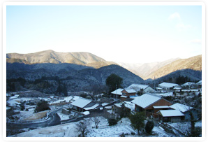 暖かいイメージがある三重県南部。　しかし、外園さんが活動している地域は山間部で標高が250ｍほどあるため雪がふる事があり、冬はとても寒いそうです。