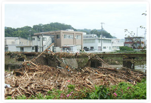 昨年、大きな被害を出した台風12号が熊野市内に残した被害の画像。　これは陸橋に樹木が押し寄せているときの様子です。