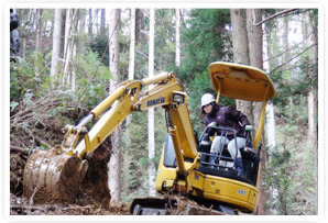 林業研修では間伐・搬出・作業道の開設までこなします。