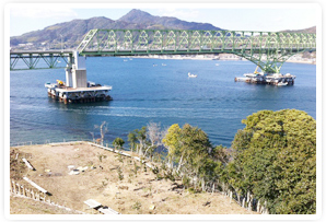 奥に見える橋が大島大橋、本土柳井市から大島に入る唯一の橋です。その手前に見える公園が、美しい三蒲を創る会によって整備されました。2月22日には、植樹祭が行われ、土地の名物、瀬戸貝を使った料理が振る舞われました。