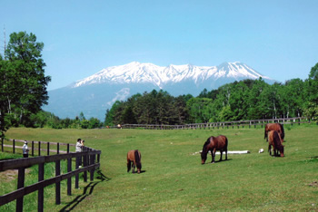 霊峰御嶽山を望む開田高原では在来馬の木曽馬たちがのびのびと種の保存のために飼育されています。