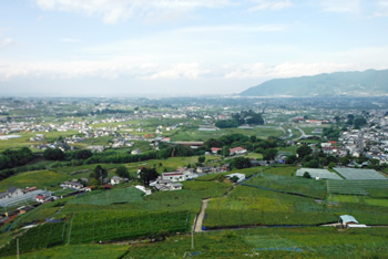 甲州市は、甲府盆地と山間地が混在するところで、桃やぶどう等の果樹栽培が盛んな地域です。