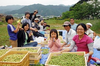 開放感のあるこの景色に毎日癒されています。