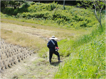 草刈りだってバリバリやります。爽快感がたまらん！ 住民は面倒がりますが（笑）