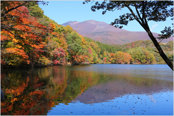不忘山から長老湖は蔵王連峰の南麓に位置する紅葉の名所で、特に長老湖からの眺めは最高です。