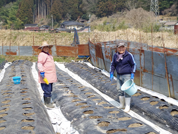 移住してから、人と人の繋がりや心の温かさを肌身で感じています。近所の方との世間話が、とても楽しいです。