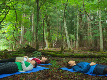 森林の中で寝転がるプログラムが人気です。(森林セラピー)