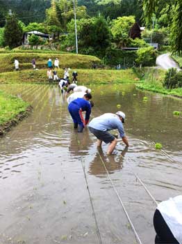 地域での、田植えイベントに参加させてもらいました。