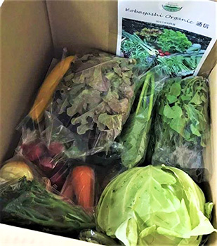 「Kobayashi Organic」の消費者会員向け野菜セット。農家自ら配達し、顔を合わせてコミュニケーションを取ることを大切にしています。