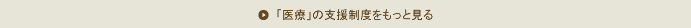 「医療」の支援制度をもっと見る