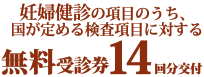 妊婦検診の項目のうち、国が定める検査項目に対する無料受診券14回分交付