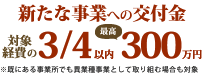 新たな事業への交付金。対象経費の3/4以内、最高300万円
