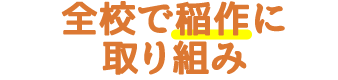 前項で稲作に取り組み