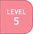 LEVEL5