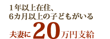 1年以上在住、6カ月以上の子どもがいる父母に20
                  万円支給