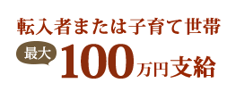 転入者または子育て世帯最大100万円支給