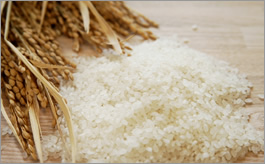 お米と稲