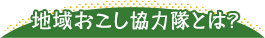 地域おこし協力隊とは？