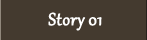 Story 01