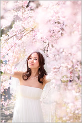 プロポーズの場所は桜の木の下