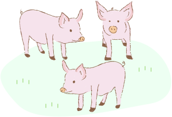 ３匹の豚