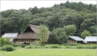 茅葺き屋根の家