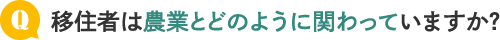 どんな移住施策を実施していますか？