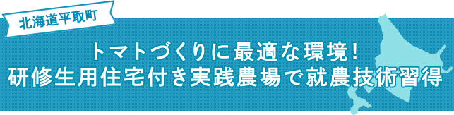 トマトづくりに最適な環境！ 研修生用住宅付き実践農場で就農技術習得