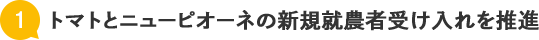 トマトとニューピオーネの新規就農者受け入れを推進