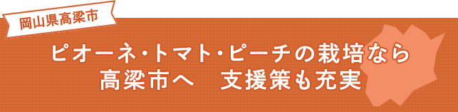 ピオーネ・トマト・ピーチの栽培なら 高梁市へ　支援策も充実