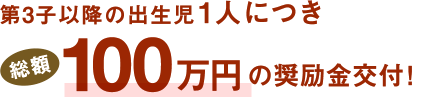 第3子以降の出生児1人につき総額100万円の奨励金交付