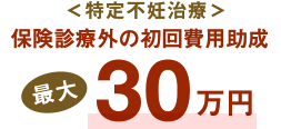 ＜特定不妊治療＞保険診療外の初回費用最大30万円