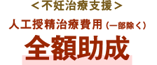 ＜不妊治療支援＞人工授精治療費用（一部除く）全額助成