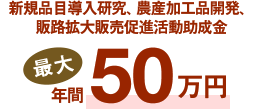 新規品目導入研究、農産加工品開発、販路拡大販売促進活動助成金最大年間50万円