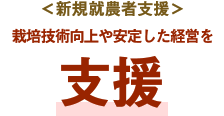 ＜新規就農者支援＞栽培技術向上や安定した経営を支援