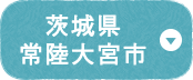 茨城県常陸大宮市