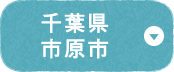 千葉県市原市