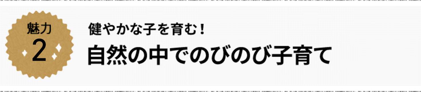 魅力2 健やかな子を育む! 自然の中でのびのび子育て