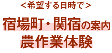 ＜希望する日時で＞宿場町・関宿の案内、農作業体験