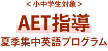 ＜小中学生対象＞AET指導夏季集中英語プログラム