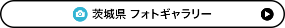 茨城県 フォトギャラリー