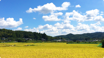 茨城の風景写真 