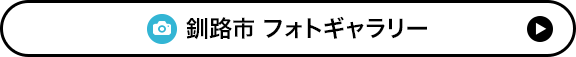 釧路市 空家情報